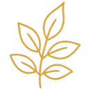 Lavins family care icon