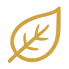 Natural ingredients icon